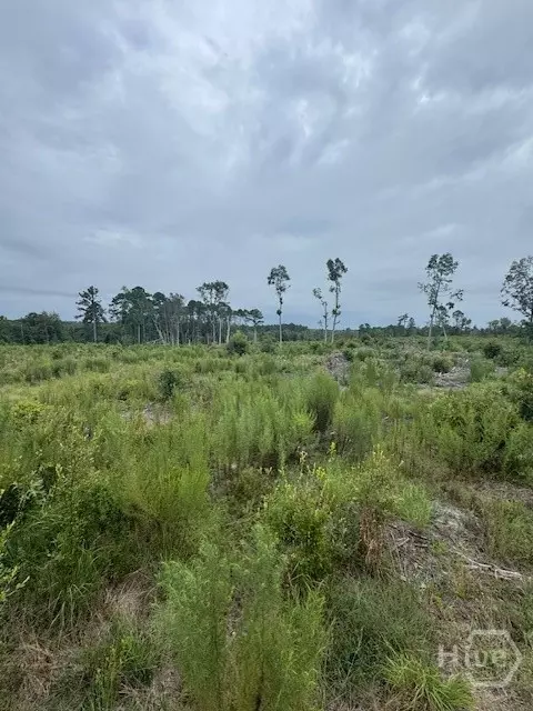 0 Kennedy Bridge Rd, Register, GA 30452