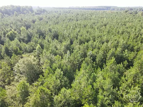 0 Indian Trail Rd, Sylvania, GA 30467