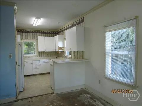Other - 4 Palmwood Ct, Tybee Island, GA 31328 photo 1 of 3