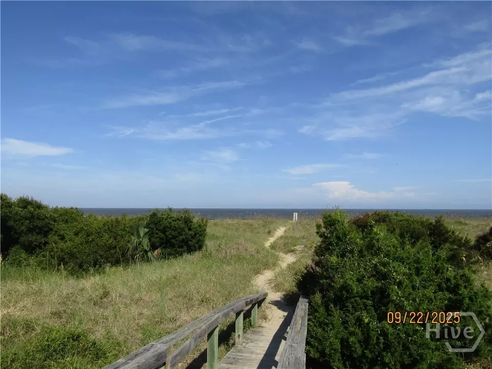 View/Area - 4 Palmwood Ct, Tybee Island, GA 31328 photo 2 of 2