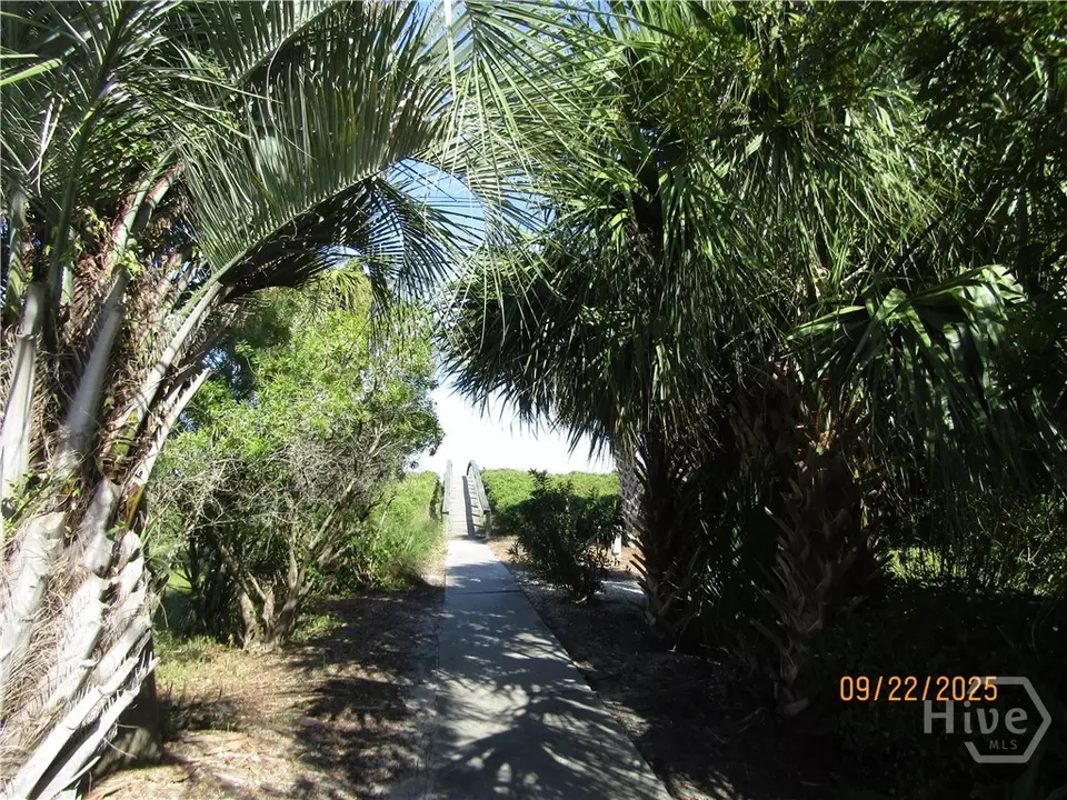 Other - 4 Palmwood Ct, Tybee Island, GA 31328 photo 2 of 3