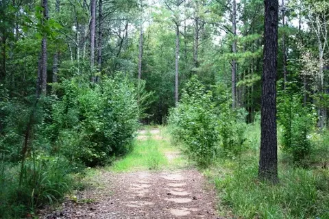 3685 Johns Rd, Appling, GA 30802 photo 1