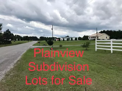 lot61 E Plainview Rd, Warrenton, GA 30828 photo 1