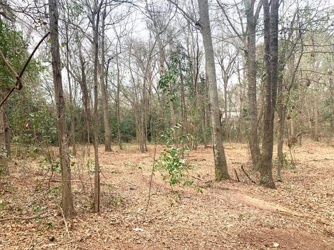 17 Hillside Road, Langley, SC 29834 photo 1