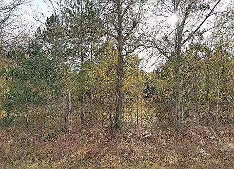 4386 Williston Rd, Windsor, SC 29856 photo 1