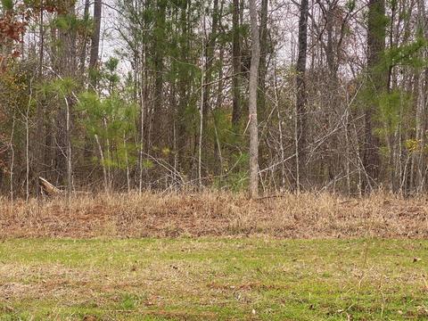 829 Audubon Way, Evans, GA 30809 photo 1