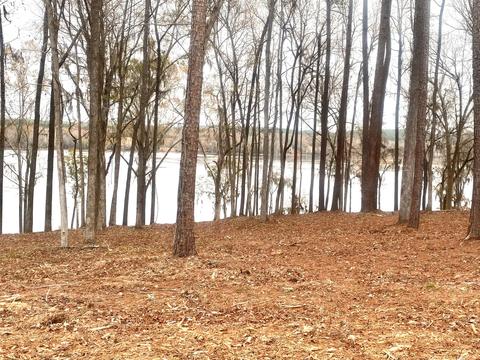 863 Audubon Way, Evans, GA 30809 photo 1