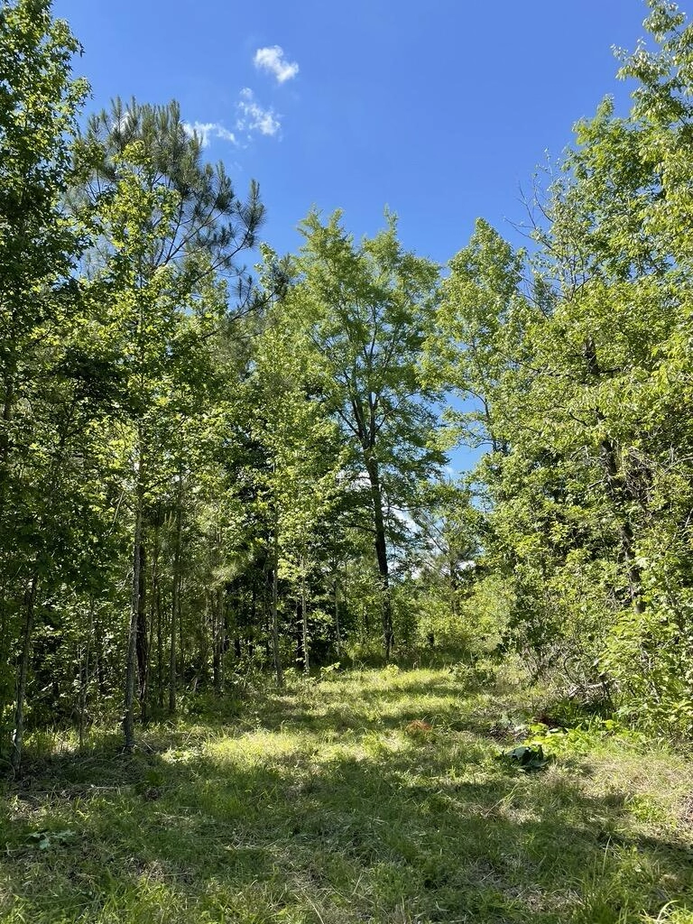 00 Walter Remsen Sr Dr  