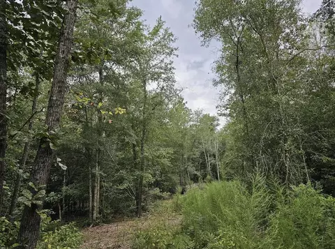 535 Union Academy Rd, Springfield, SC 29146 photo 1