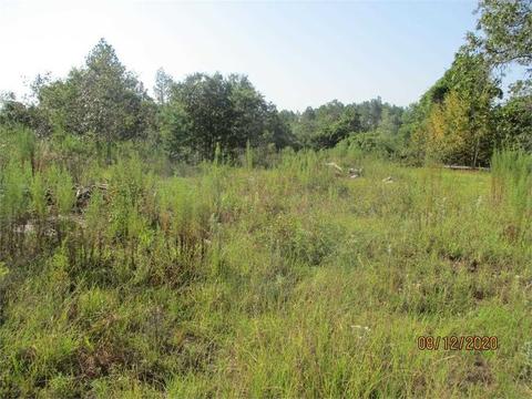 110 Evans Mill Cir, Roberta, GA 31078 photo 1