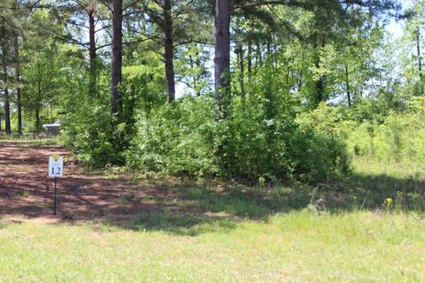 237 Peninsula Ave, Macon, GA 31220 photo 1