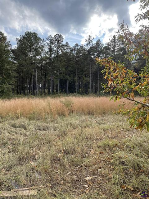 123 Canter Dr, Perry, GA 31069 photo 1