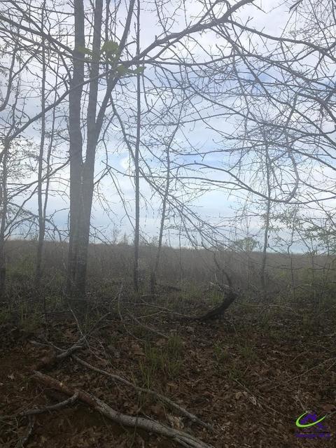 V/l Crabapple Drive, Hawkinsville, GA 31036