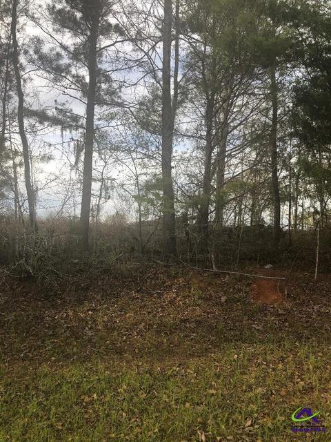 V/l Crabapple Drive, Hawkinsville, GA 31036