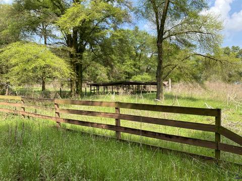 278 Loblolly Rd, Oglethorpe, GA 31063 photo 1