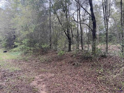 208 Hickory Dr, Perry, GA 31069 photo 1