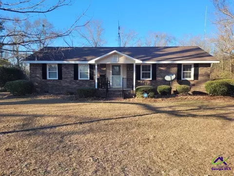 1568 Old Ideal Rd, Oglethorpe, GA 31068 photo 1