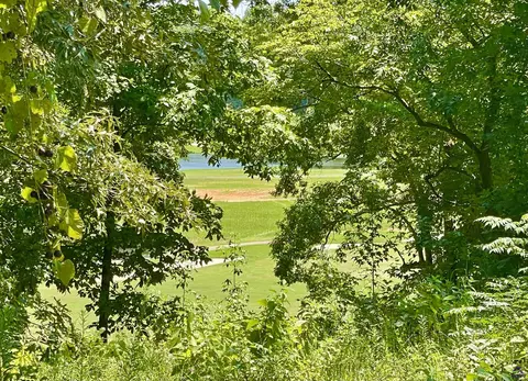 lot11 Oak Dr, Hawkinsville, GA 31063