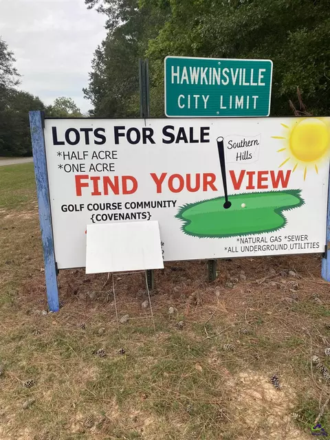 12 Oak Drive, Hawkinsville, GA 31036