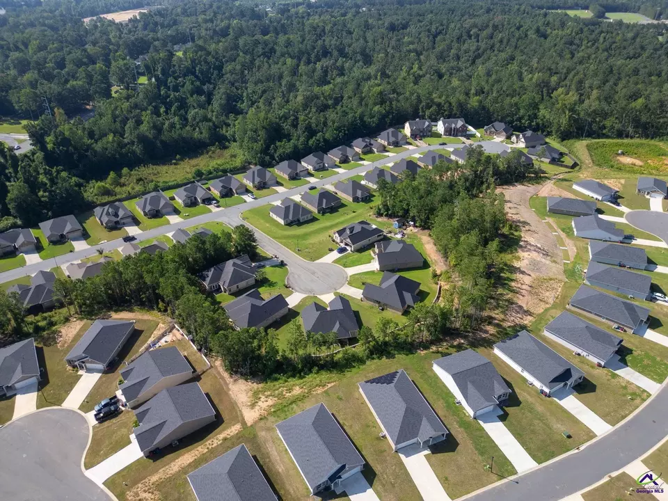 View/Area - 147 Summer Grove Ln, Macon, GA 31206 photo 6 of 8