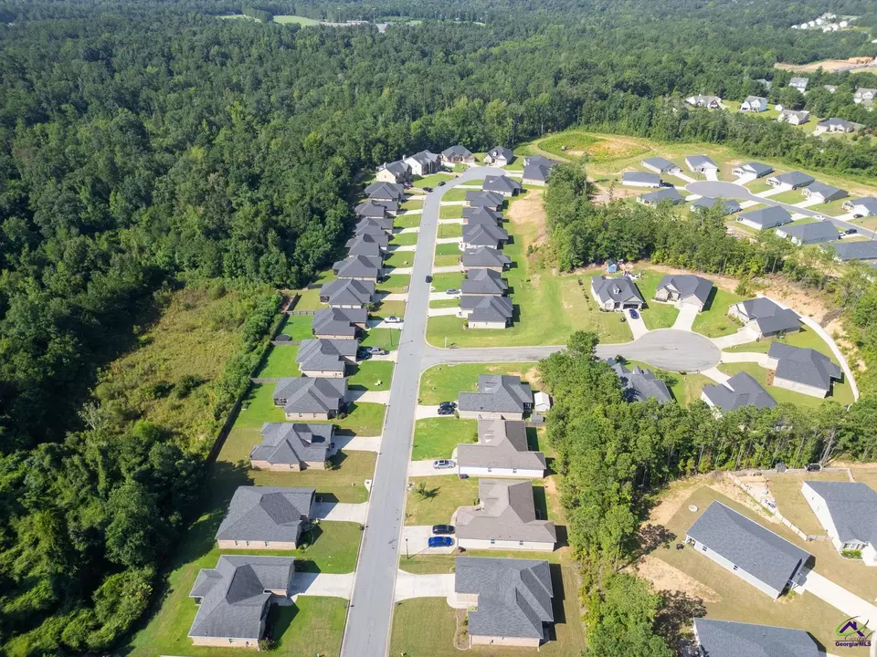 View/Area - 147 Summer Grove Ln, Macon, GA 31206 photo 5 of 8