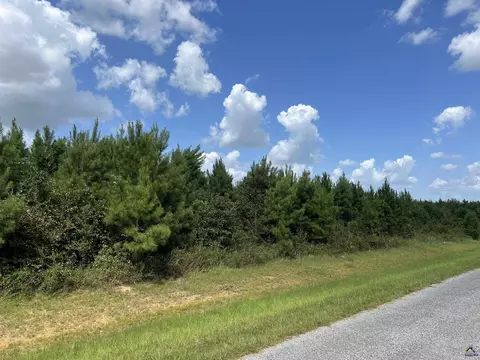 lot1 Whitfield Rd, Elko, GA 31025