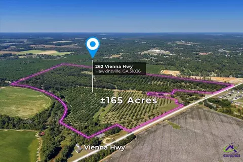 262 Vienna Hwy, Hawkinsville, GA 31036