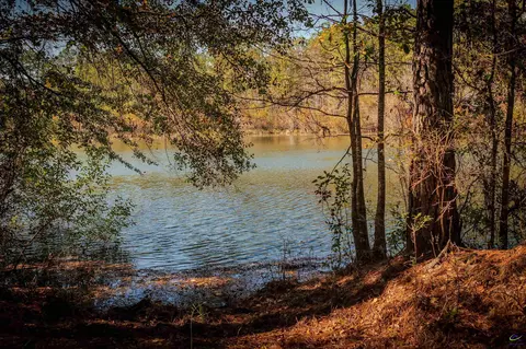 1446 Avera Rd, Roberta, GA 31078