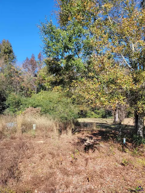 68 Aberdeen Cir, Cordele, GA 31015