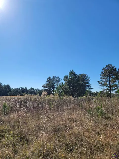 11 Lochridge Way, Cordele, GA 31015