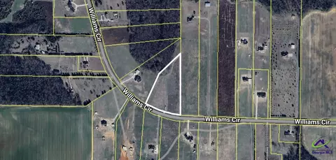 3 Williams Circle, Elko, GA 31025 photo 1