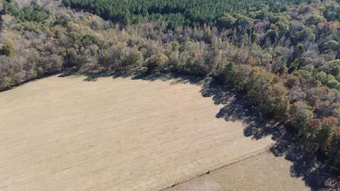 269 Pea Ridge Rd, Cochran, GA 31065 photo 3