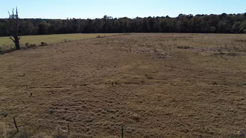 269 Pea Ridge Rd, Cochran, GA 31065 photo 14