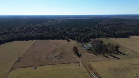 269 Pea Ridge Rd, Cochran, GA 31065 photo 11