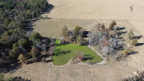 269 Pea Ridge Rd, Cochran, GA 31065 photo 8