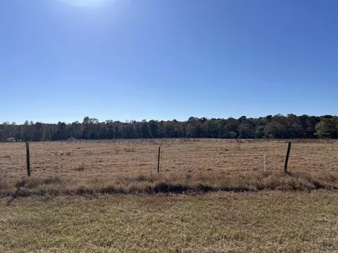 269 Pea Ridge Rd, Cochran, GA 31065 photo 18