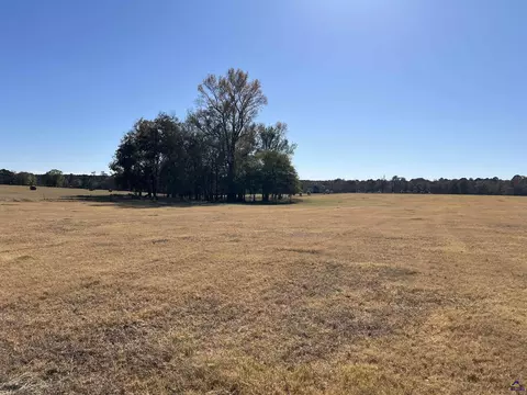269 Pea Ridge Rd, Cochran, GA 31065 photo 15