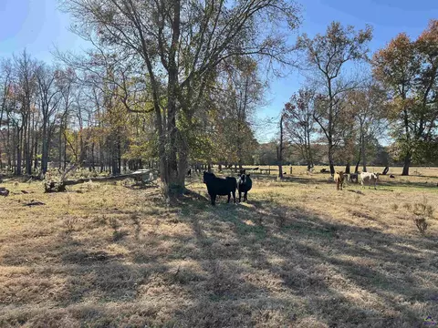 269 Pea Ridge Rd, Cochran, GA 31065 photo 19
