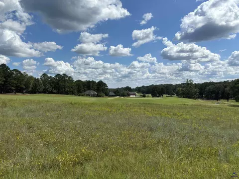 lot16 Block B Camden Way #SOUTHERN HILLS PLANTATION GO, Hawkinsville, GA 31036