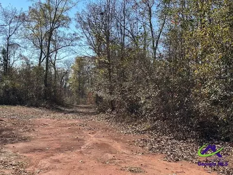 331 Worsham Rd, Culloden, GA 31016 photo 3