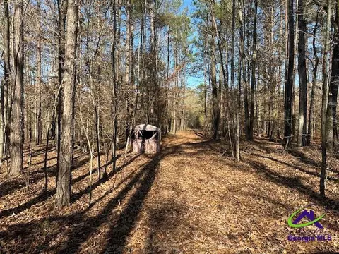 331 Worsham Rd, Culloden, GA 31016 photo 14