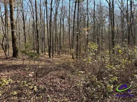 331 Worsham Rd, Culloden, GA 31016 photo 10