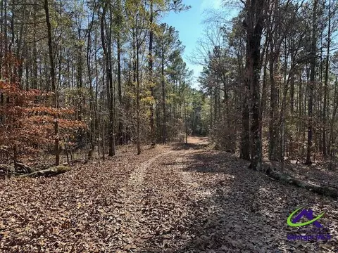331 Worsham Rd, Culloden, GA 31016 photo 9