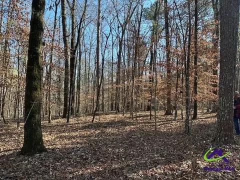 331 Worsham Rd, Culloden, GA 31016 photo 16