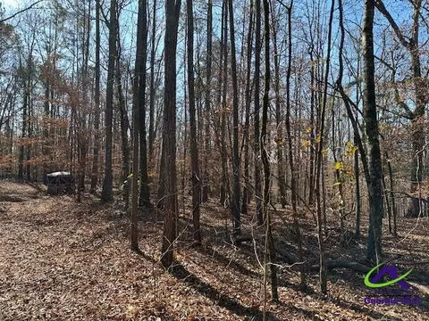 331 Worsham Rd, Culloden, GA 31016 photo 13