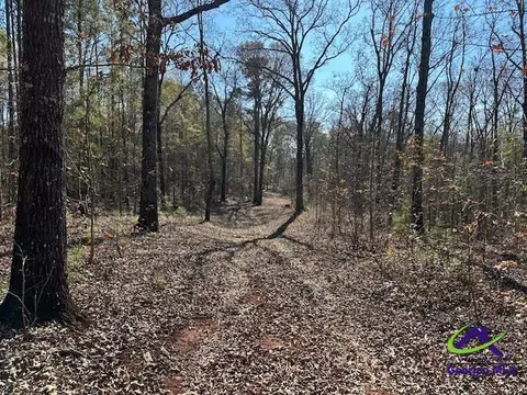 331 Worsham Rd, Culloden, GA 31016 photo 5