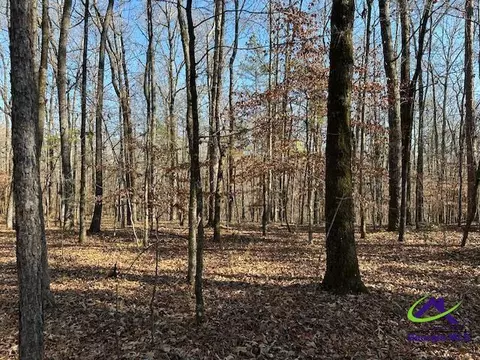 331 Worsham Rd, Culloden, GA 31016 photo 15