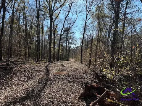 331 Worsham Rd, Culloden, GA 31016 photo 7