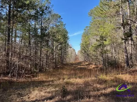 331 Worsham Rd, Culloden, GA 31016 photo 8
