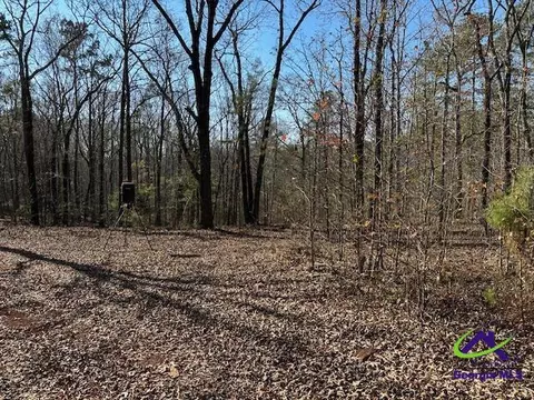 331 Worsham Rd, Culloden, GA 31016 photo 6